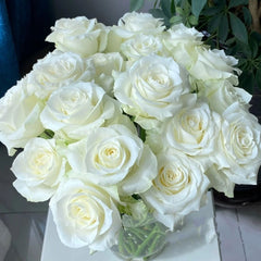 Proud Rose-骄傲｜France Cut Rose