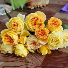 Candlelight rose