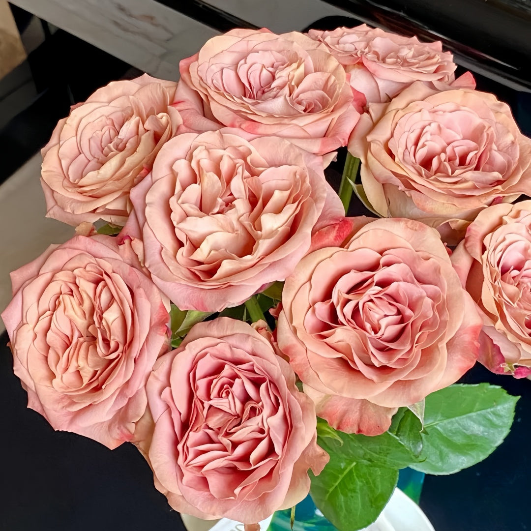 Cappuccino Rose