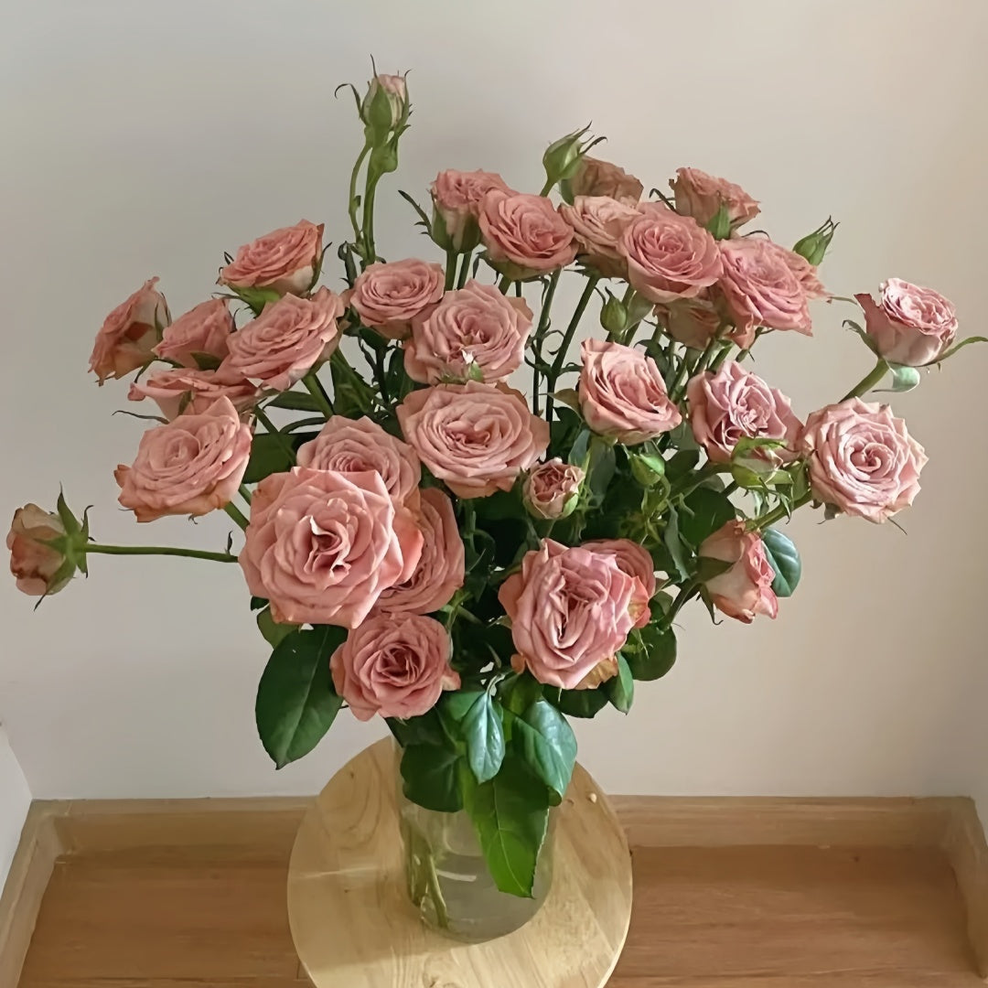 Cappuccino Rose