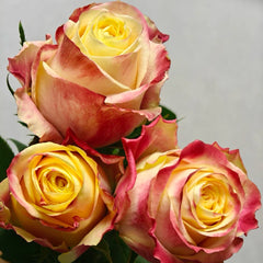 Chapeau Rose