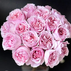 Chocolate Romantic Rose
