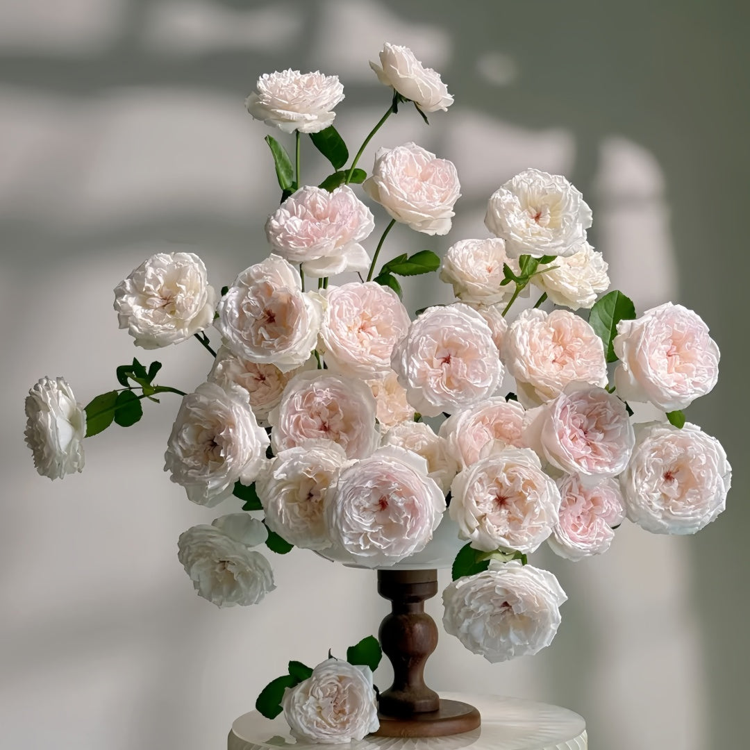 Cocotte Rose