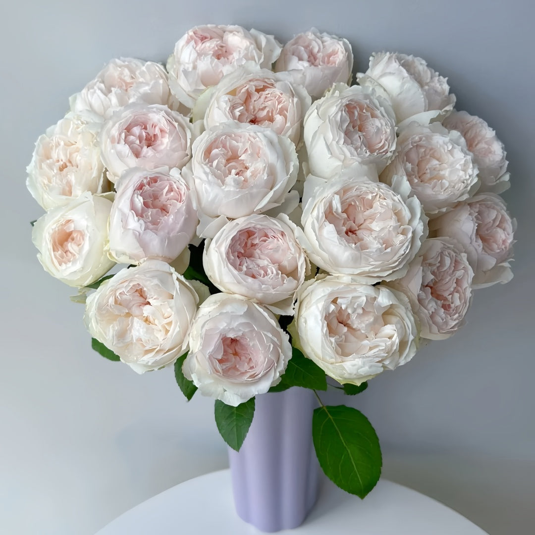 Cocotte Rose
