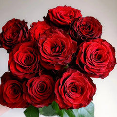 Cola Rose
