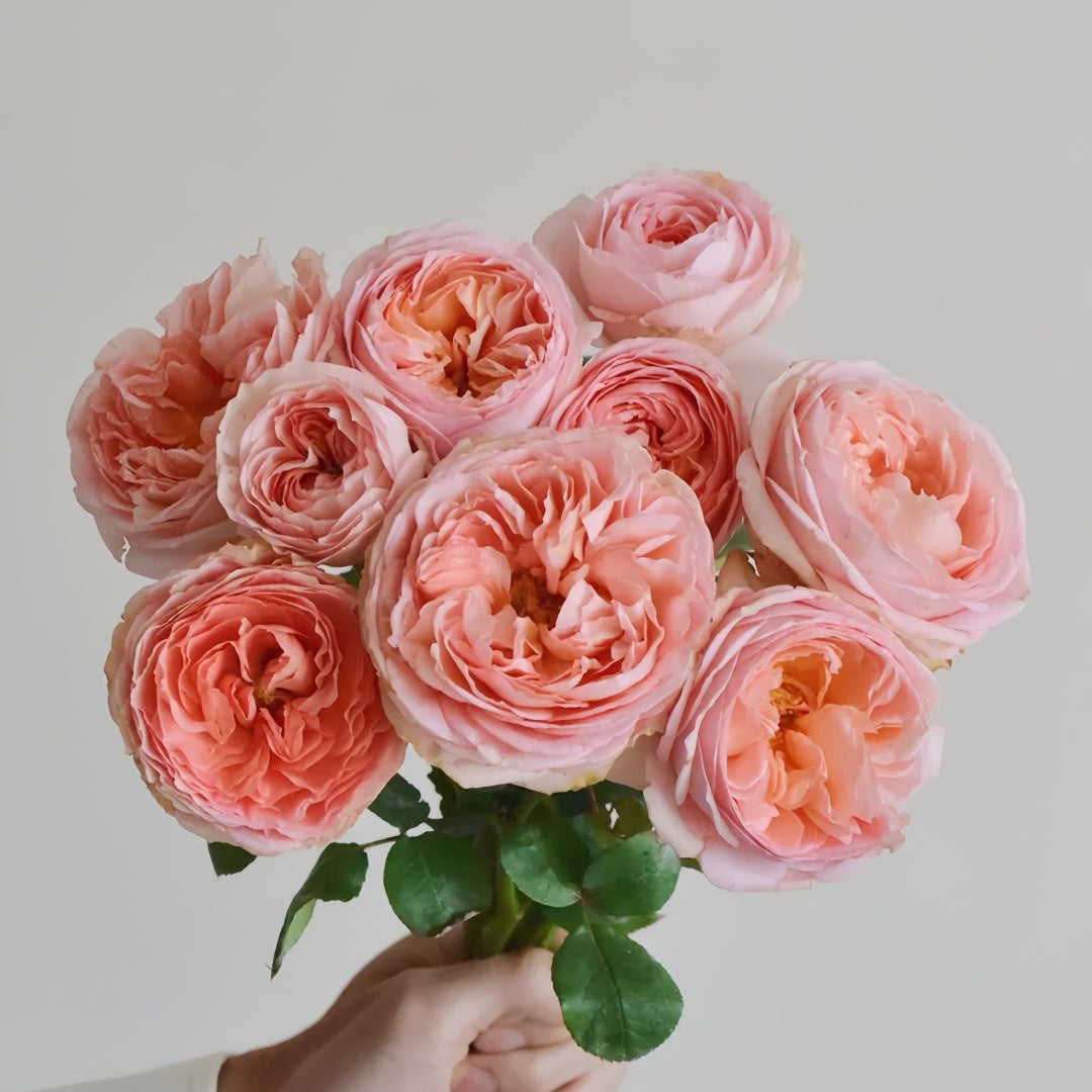 Confiture Rose