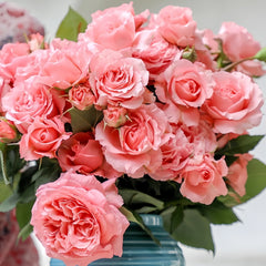 Corail gelee Rose