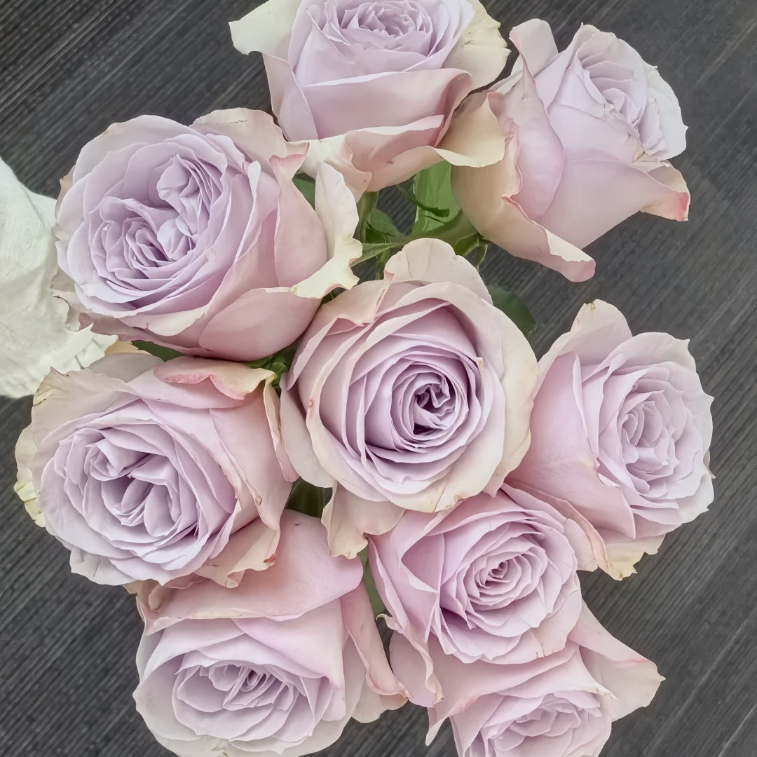 Cosette Rose