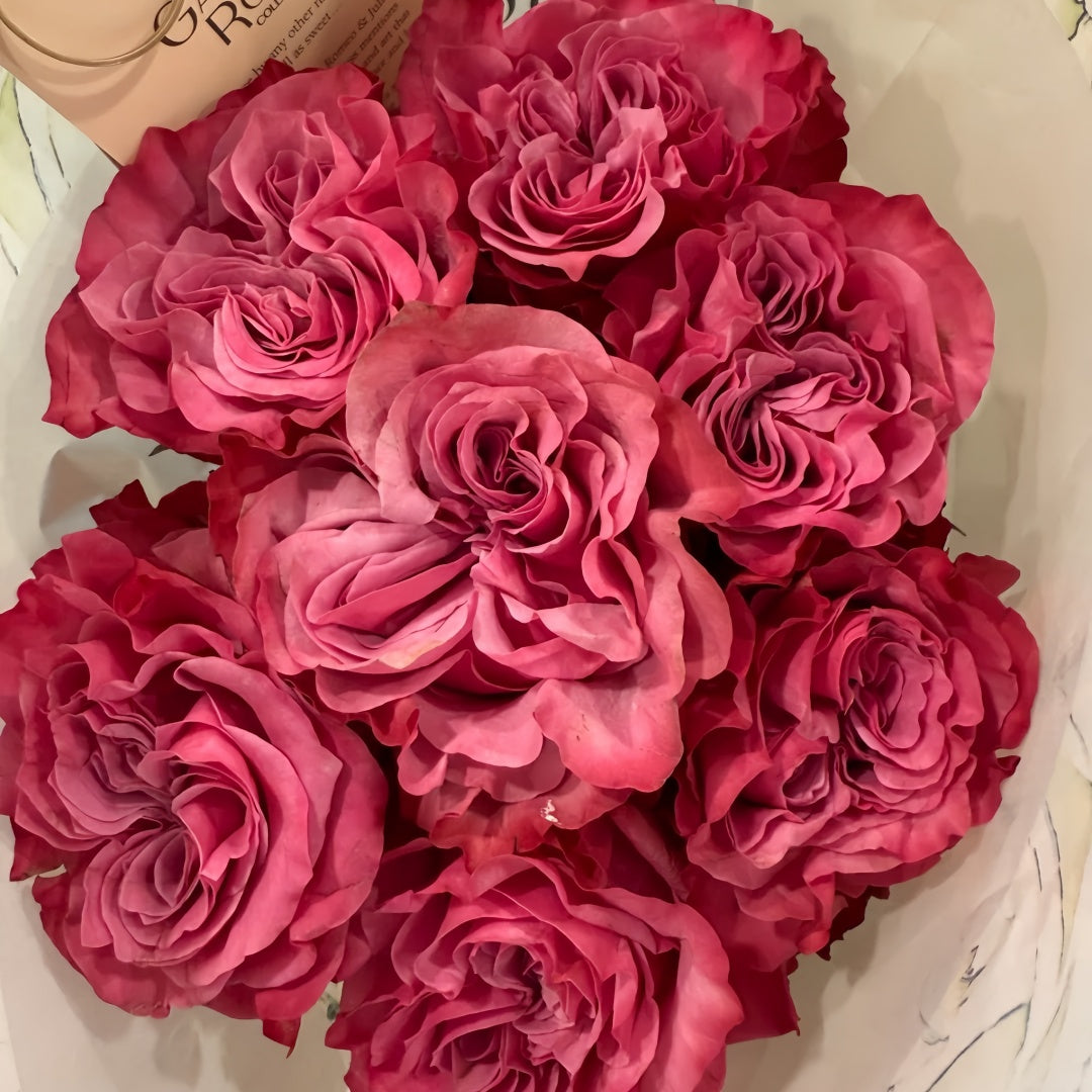 Country Blue Rose