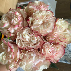 Country Candy Rose