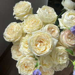 Cream Yves Piaget Rose