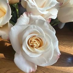 Cynthia Rose