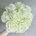 Moonstone Gem Rose-月光石｜Dutch Cut  Rose