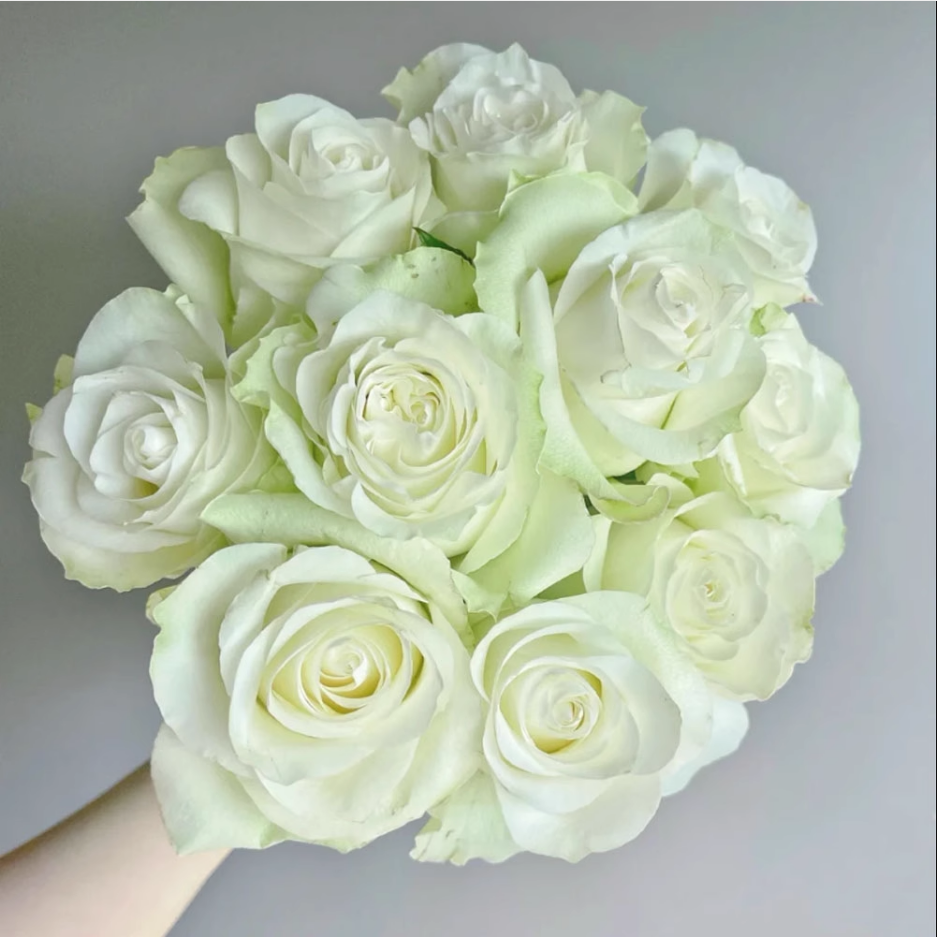 Moonstone Gem Rose-月光石｜Dutch Cut  Rose