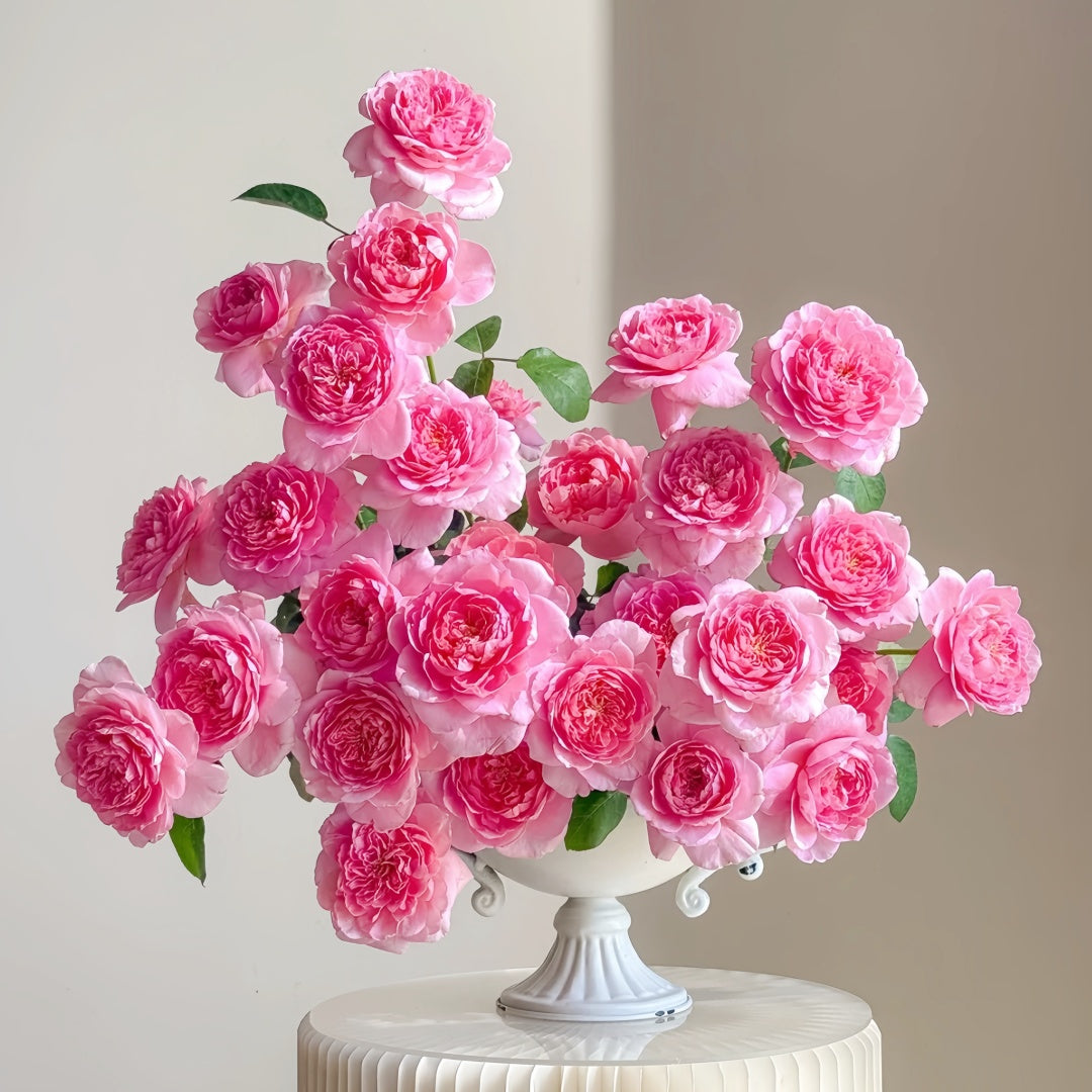 Dames de Chenonceau Rose