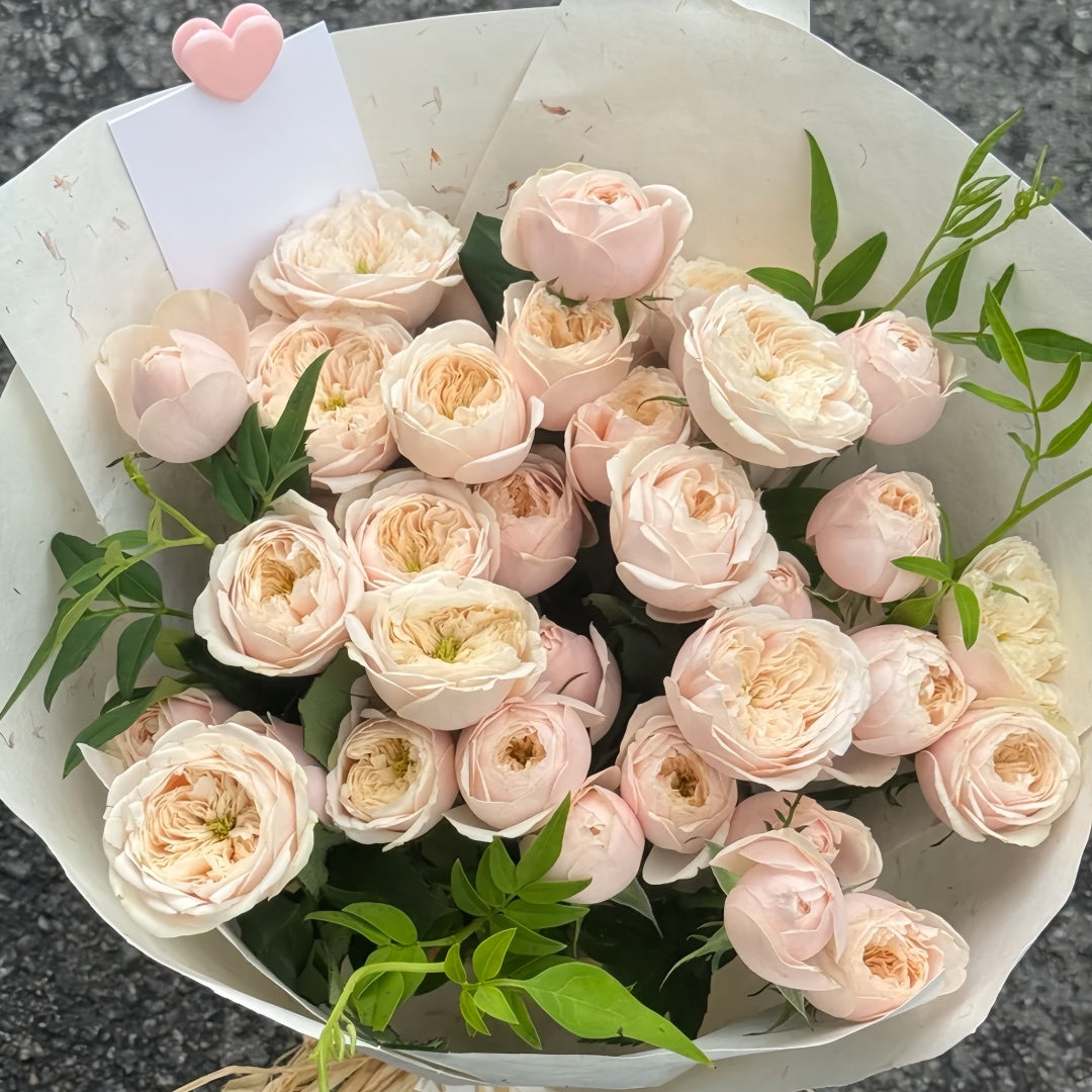 Darlington Rose