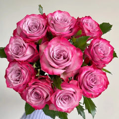Deep Purple Rose