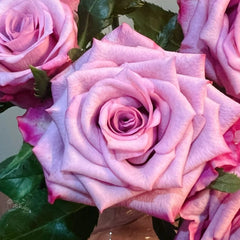 Deep Purple Rose