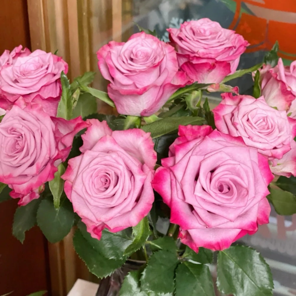 Deep Purple Rose