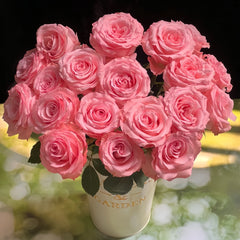Diana_Rose09_medium.jpg?v=