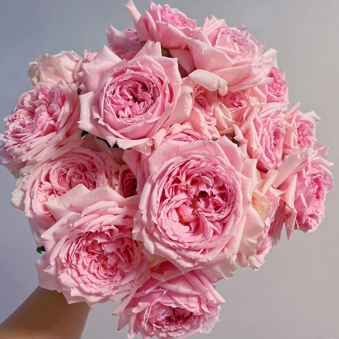 Elegant Dress Rose