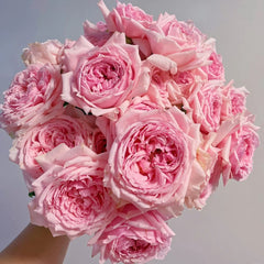 Elegant Dress Rose