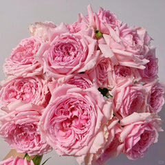 Elegant Dress Rose