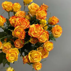 Eyeliner Rose