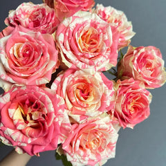 Facial Makeup Rose
