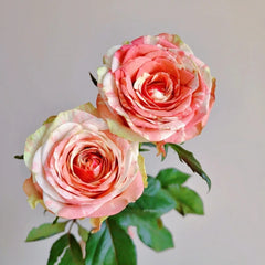 Facial Makeup Rose
