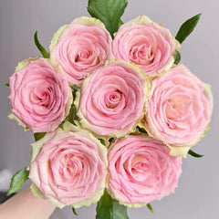 Fashion Girl Rose