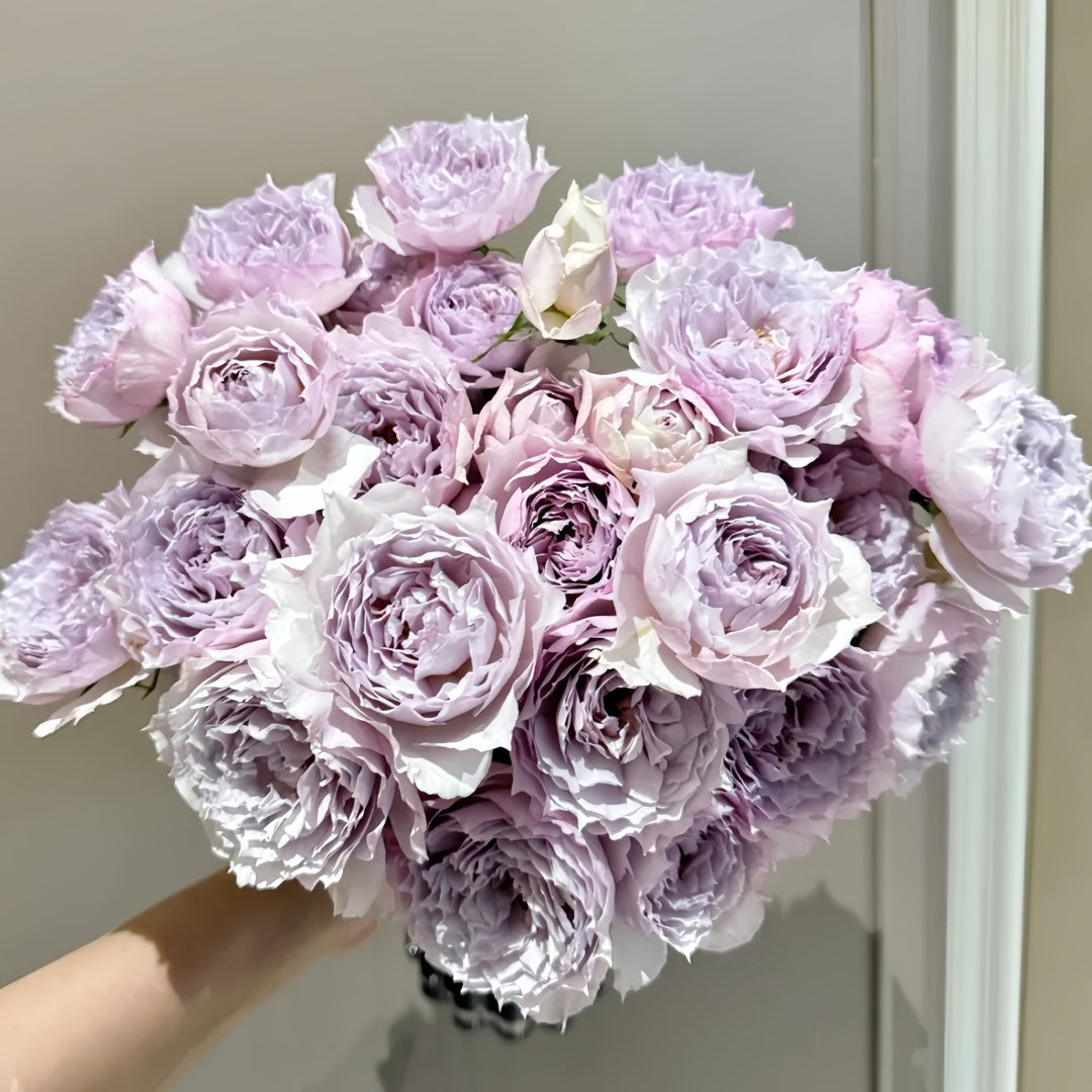 Floating moon Rose