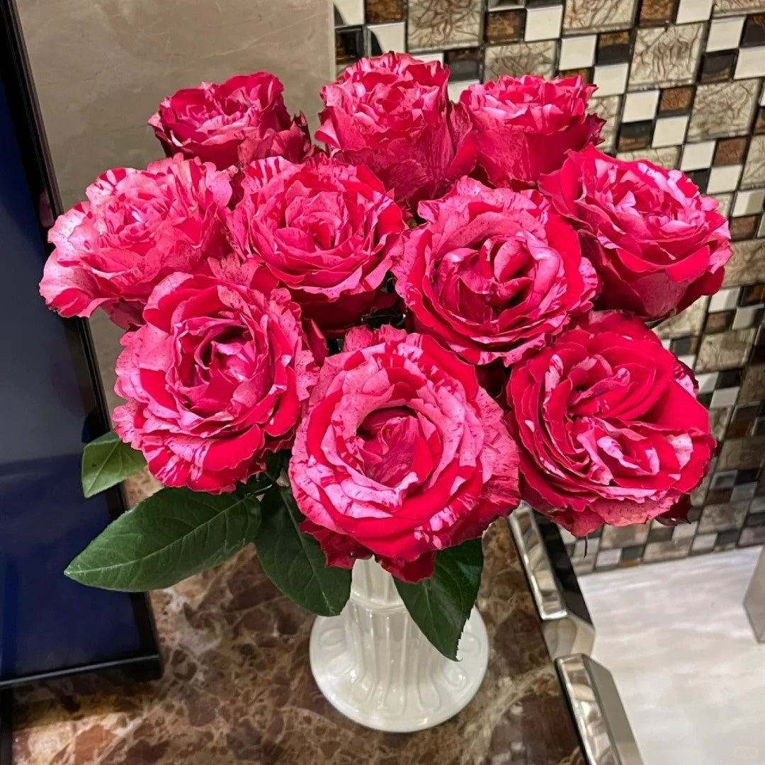 Frou Frou Rose