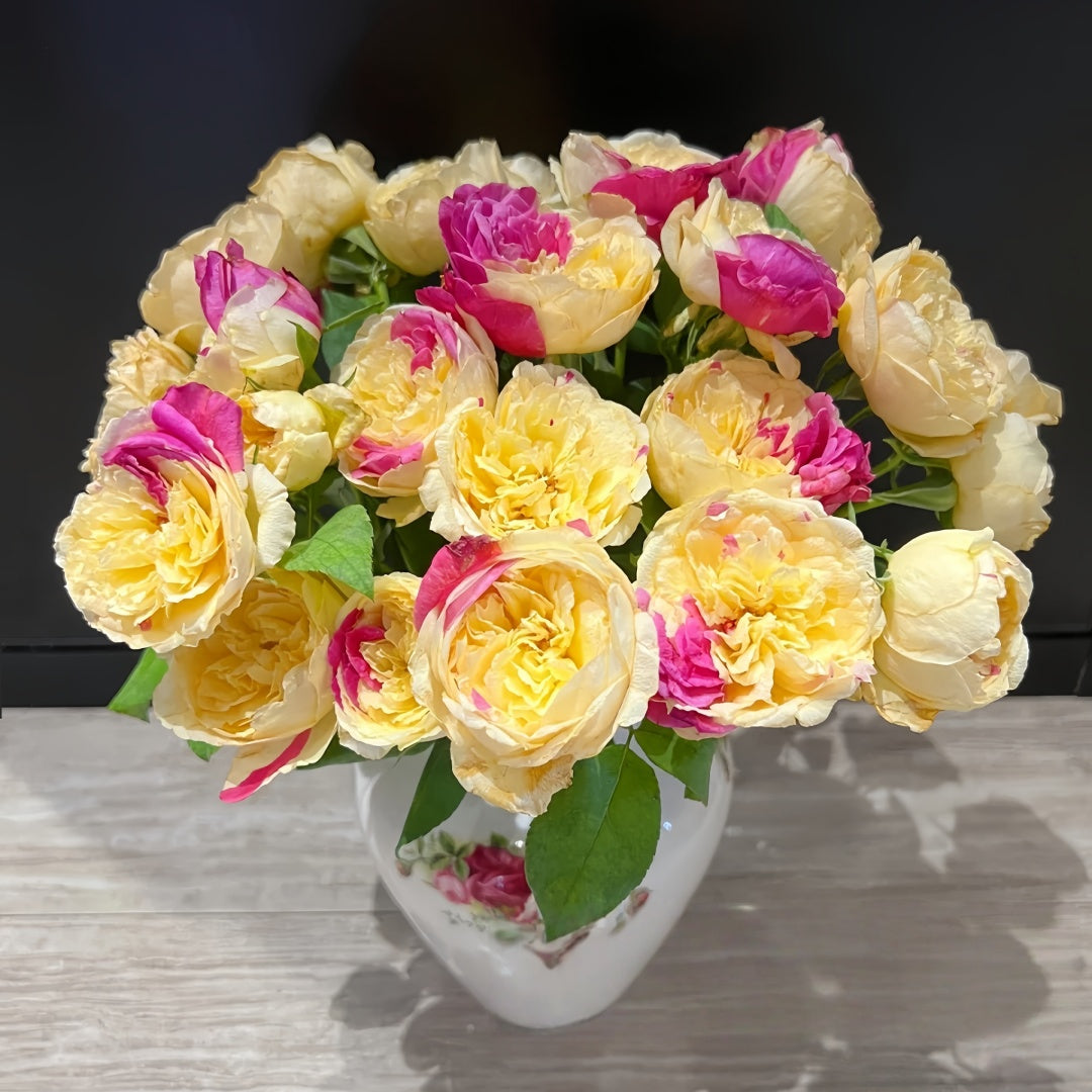 Fugetsu Rose