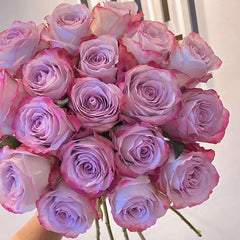 Glamorous Rose