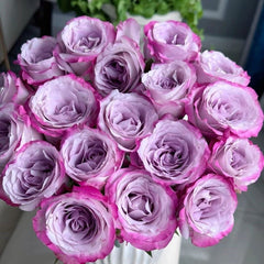 Glamorous Rose