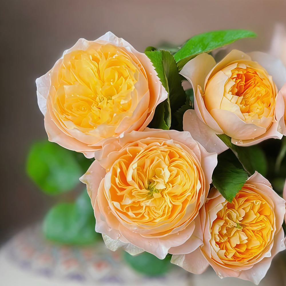 Golden Vuvuzela Rose