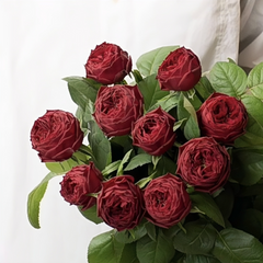 Grand jubilee rose