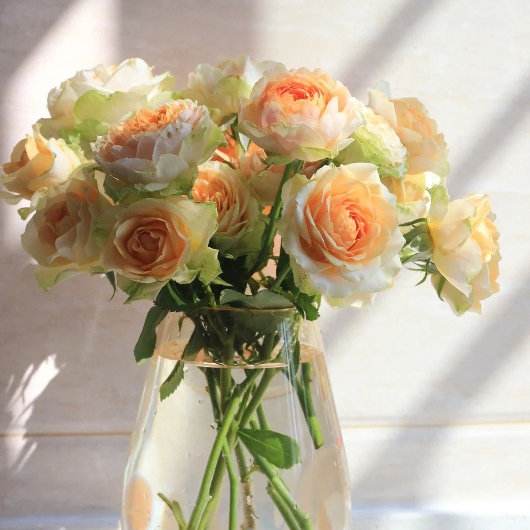 Gravity Rose