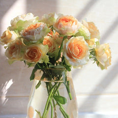 Gravity Rose