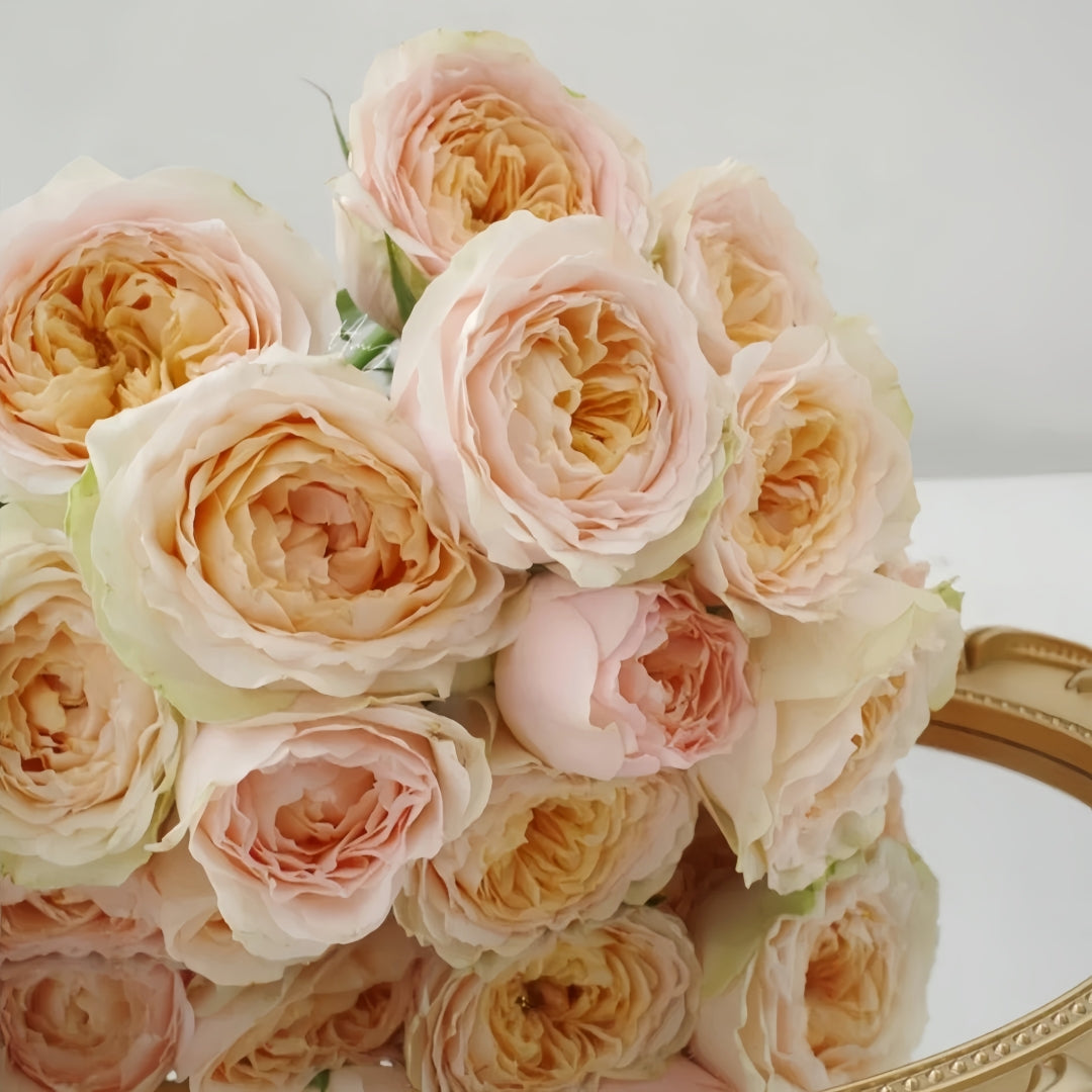 Gravity Rose
