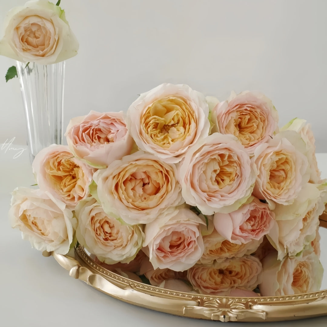 Gravity Rose