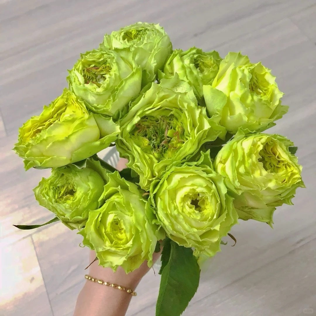 Green Eye Rose