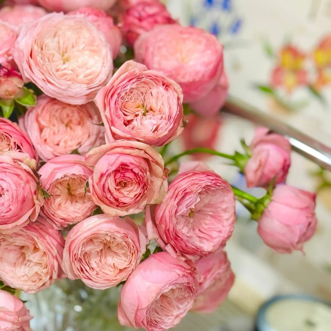 Harper rose- | Netherlands Cut Roses Ergongzy Roses Harper rose- | Netherlands Cut Roses Ergongzy Roses