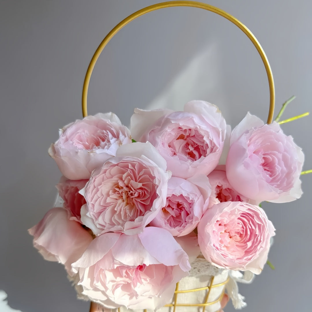 Hiyori Rose