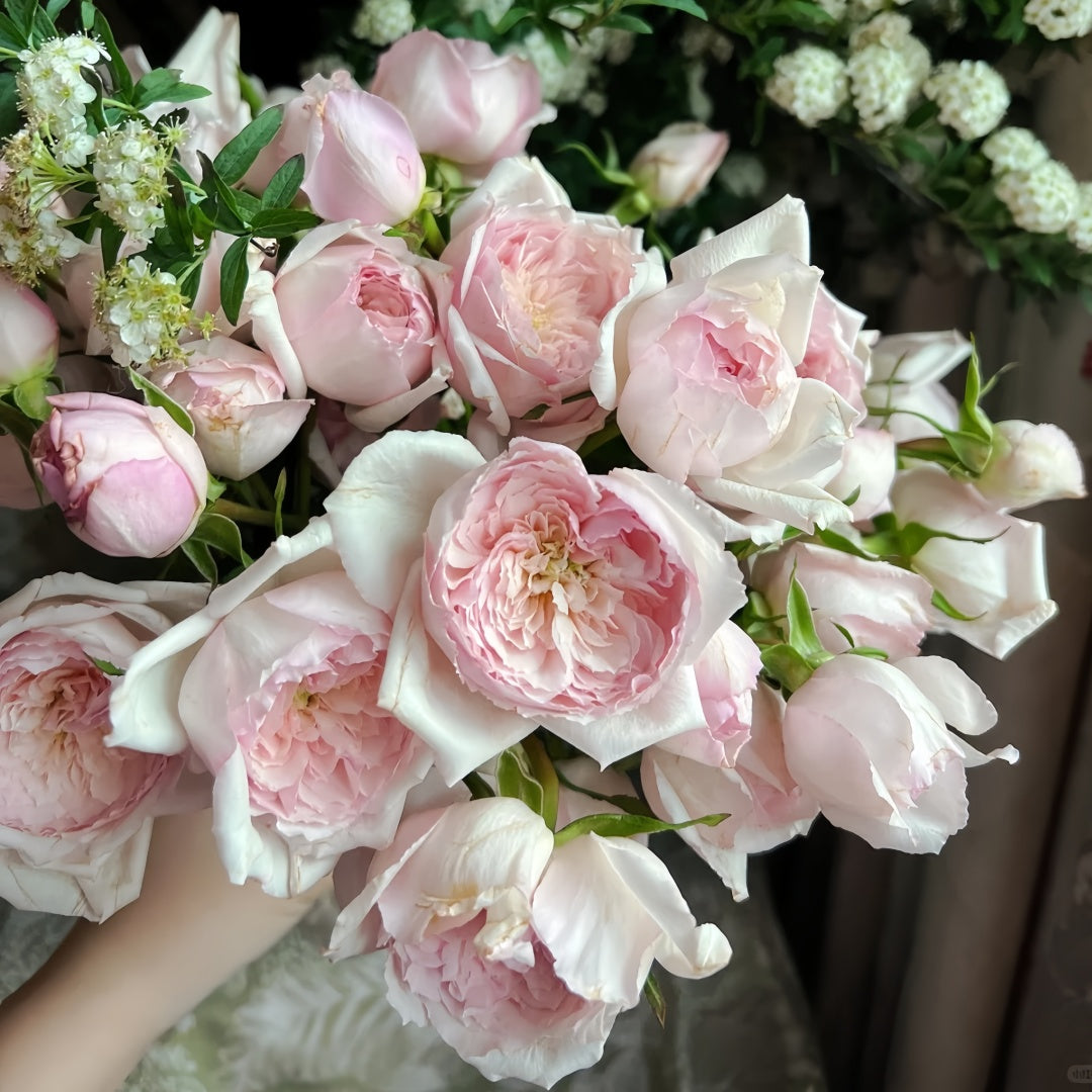Hiyori Rose