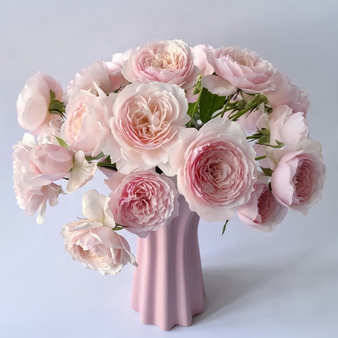Hiyori Rose