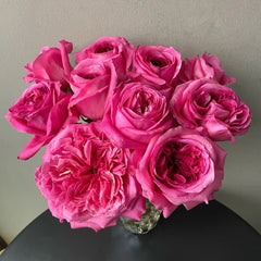 Hot X-pression Rose