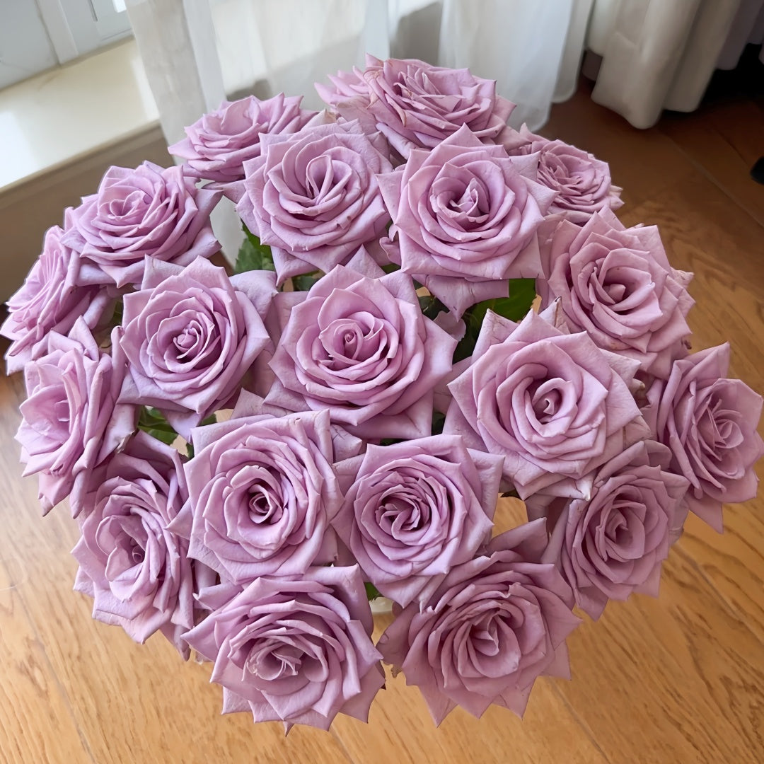 Indigo Rose