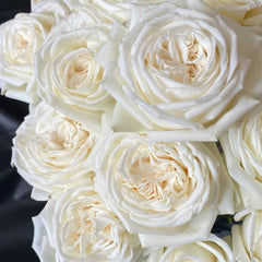 Jeanne Moreau Rose